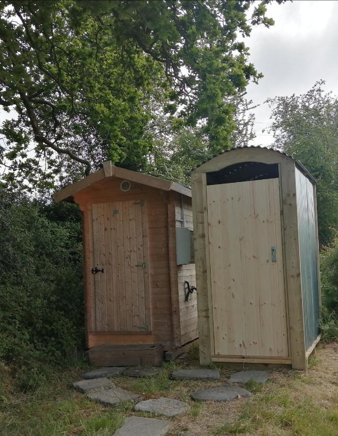 Coed Y Brenin Retreat - Bell Tent Glamping Near Aberaeron Ciliau-Aeron Exterior foto