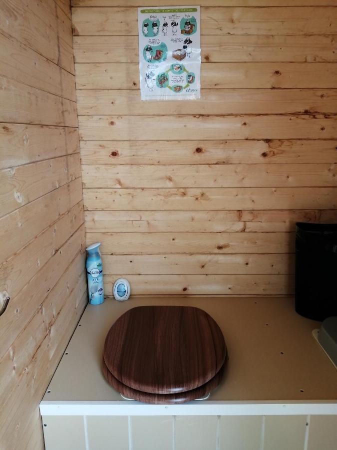 Coed Y Brenin Retreat - Bell Tent Glamping Near Aberaeron Ciliau-Aeron Exterior foto